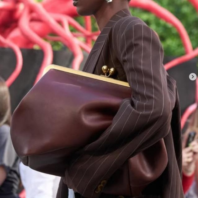 Классические сумки с зажимом в – обзор и цена Luxury Bags Big