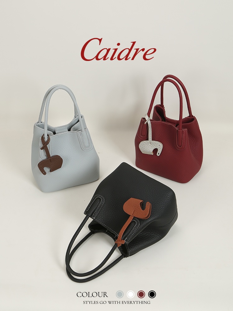 Роскошная сумка-тоут Caidre 20 – обзор и цена Luxury Bags In Japan